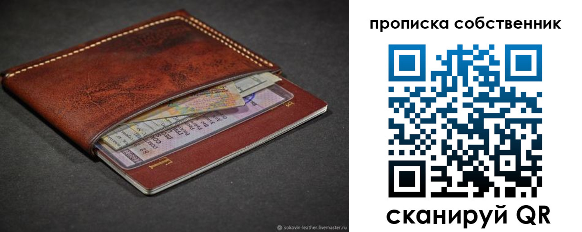 прописка в Сольцах