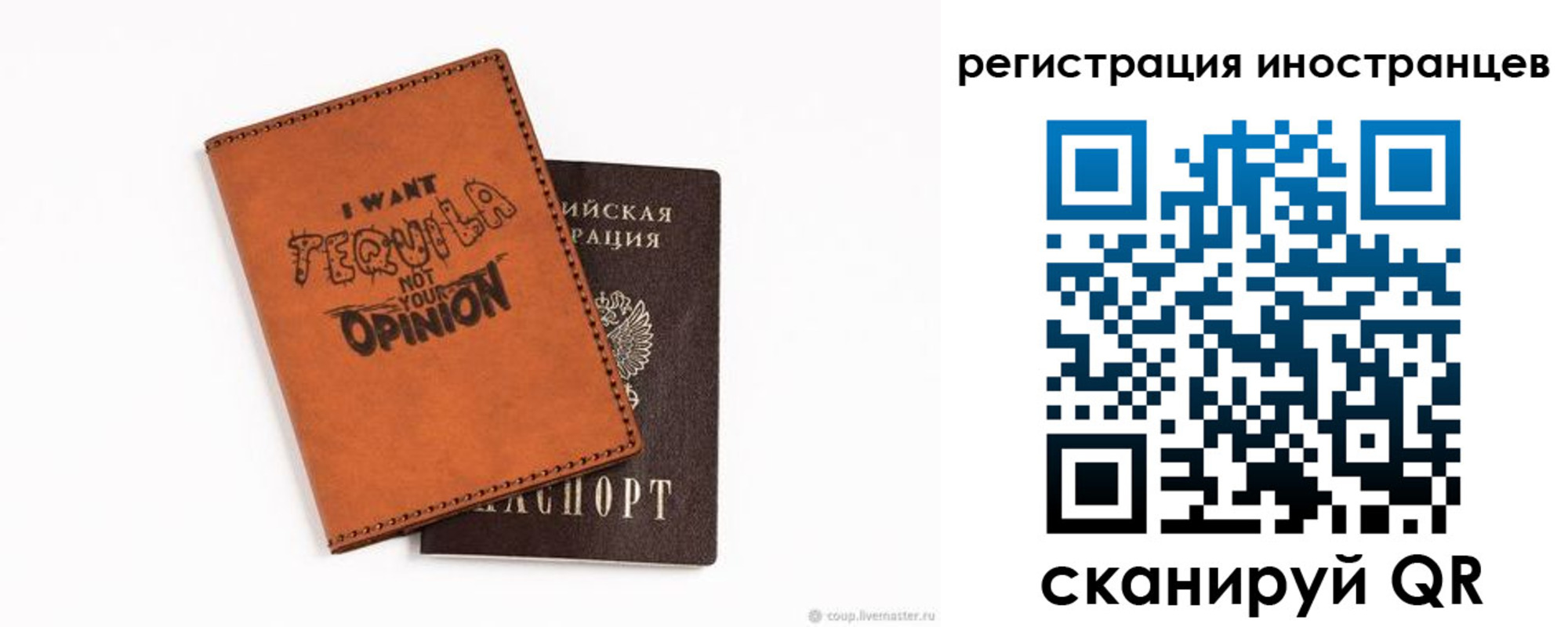 временная регистрация для школы в Сольцах